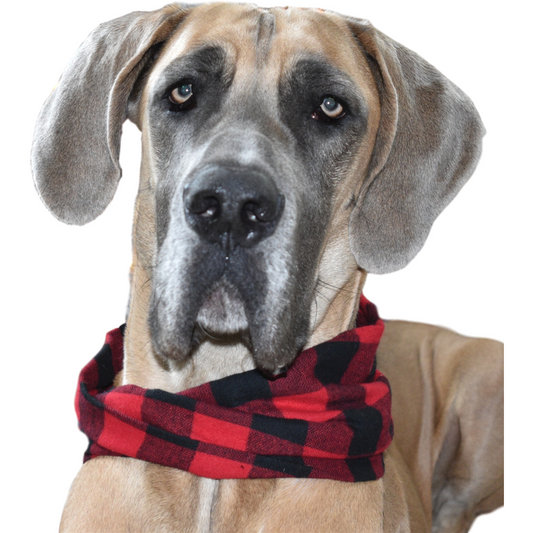 Al Borland Scarf Hundehalstuch – Premium Hunde Halstuch mit modischem Design