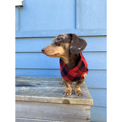 Al Borland Scarf Hundehalstuch – Premium Hunde Halstuch mit modischem Design