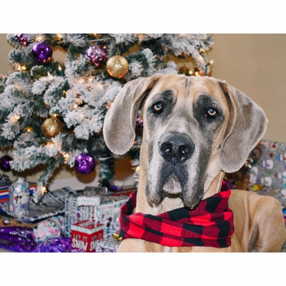 Al Borland Scarf Hundehalstuch – Premium Hunde Halstuch mit modischem Design
