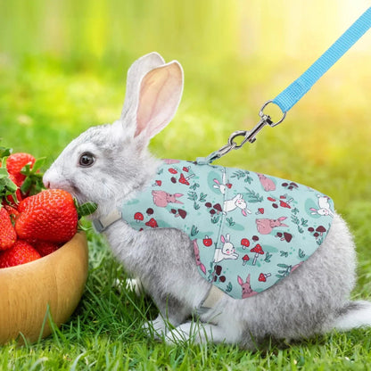 Verstellbares Geschirr mit Leine für Kaninchen, Katzen & Frettchen – Robust & Sicher