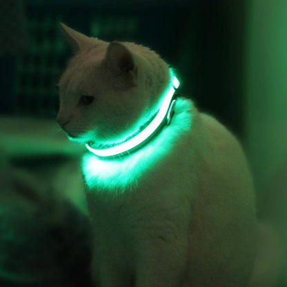 HALO MINI LED Leuchtendes Halsband – Sicheres & Sichtbares Haustierhalsband