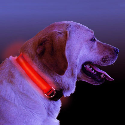 HALO MINI LED Leuchtendes Halsband – Sicheres & Sichtbares Haustierhalsband