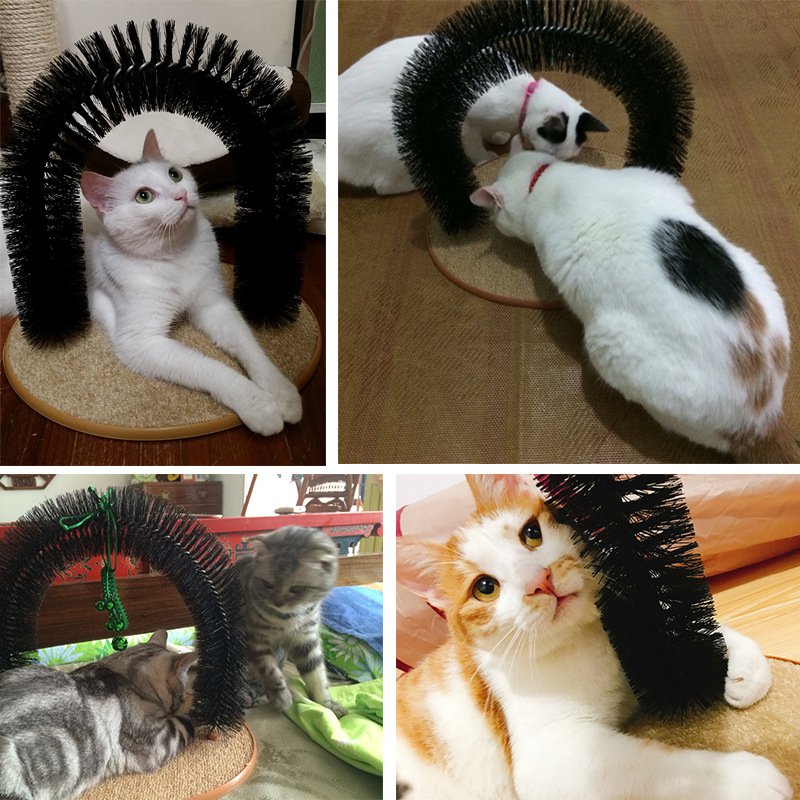 Purrfect Arch Selbst-Groomer für Katzen – Intelligente Katzenbürste zum Selberbürsten & Massieren