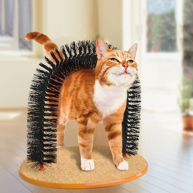Purrfect Arch Selbst-Groomer für Katzen – Intelligente Katzenbürste zum Selberbürsten & Massieren