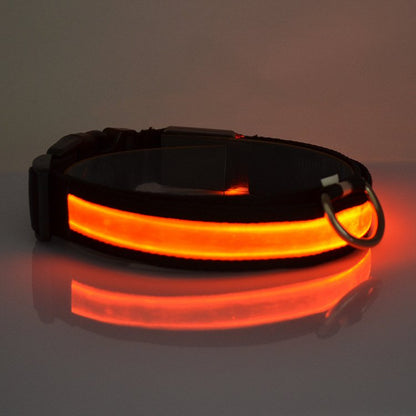 HALO MINI LED Leuchtendes Halsband – Sicheres & Sichtbares Haustierhalsband